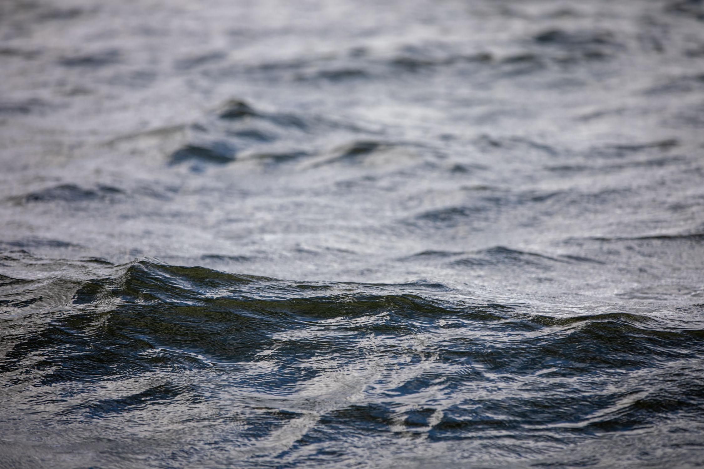 Closeup of a wave in the ocean.